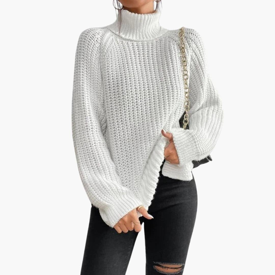 Isabela oversized ribbed turtleneck sweater