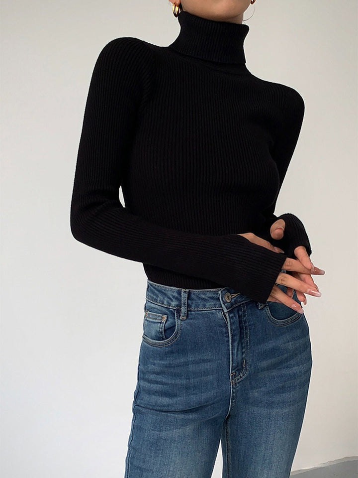 Viviana fine rib turtleneck sweater