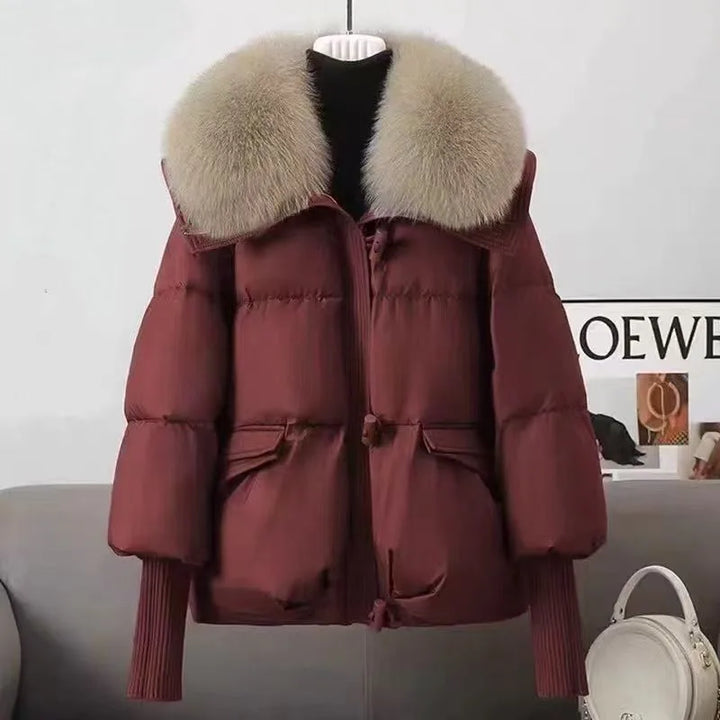 Alessia puffer bomber jacket with detachable collar – image 5