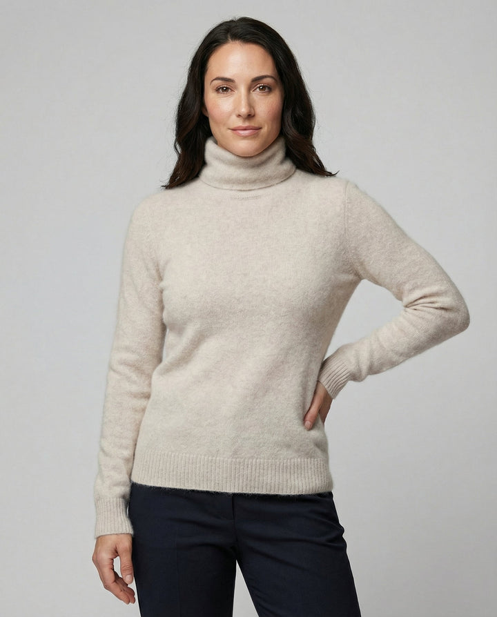Audra soft knit turtleneck sweater